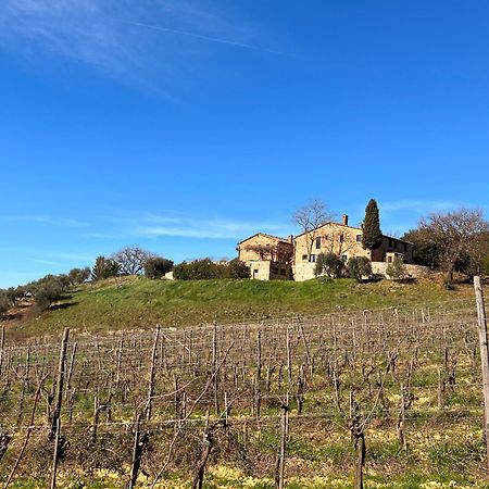Podere Sole Trequanda Dış mekan fotoğraf
