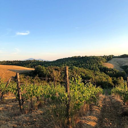 Podere Sole Trequanda Dış mekan fotoğraf