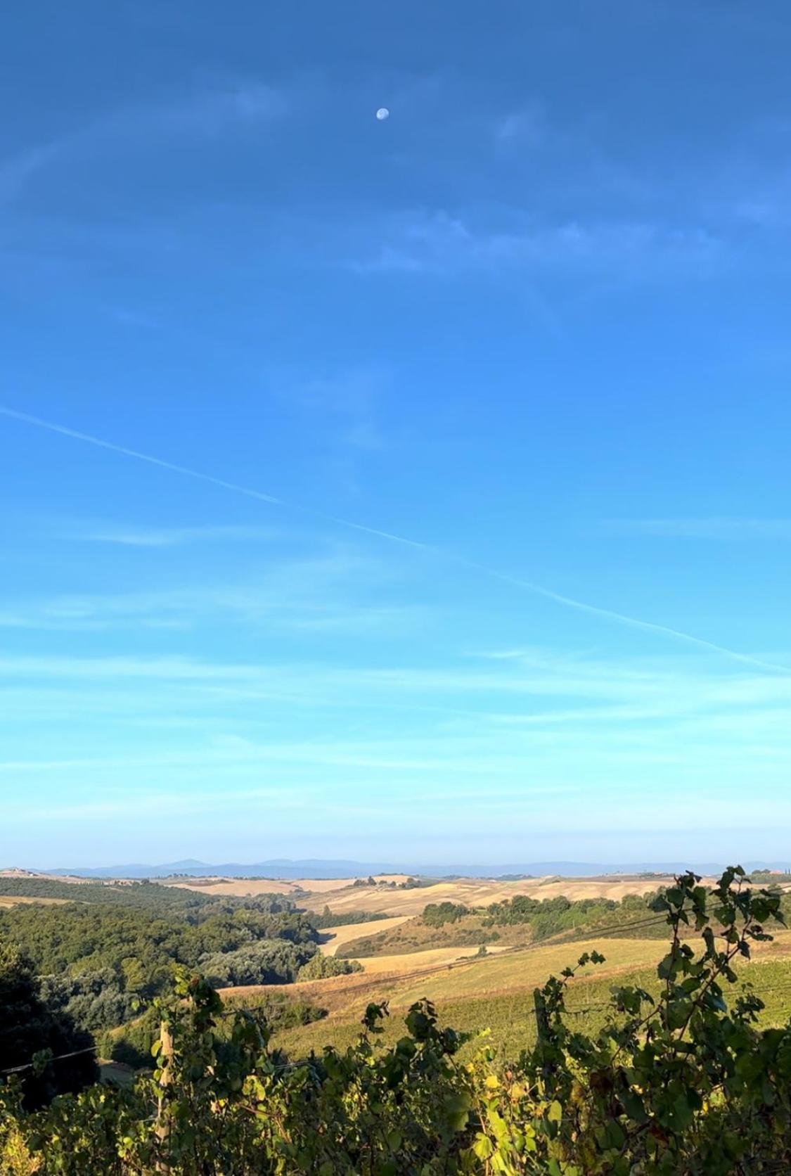 Podere Sole Trequanda Dış mekan fotoğraf
