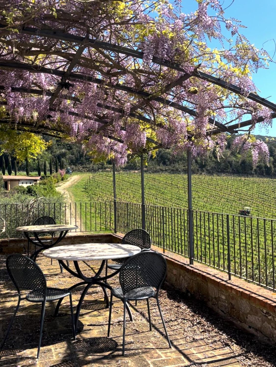 Podere Sole Trequanda Dış mekan fotoğraf