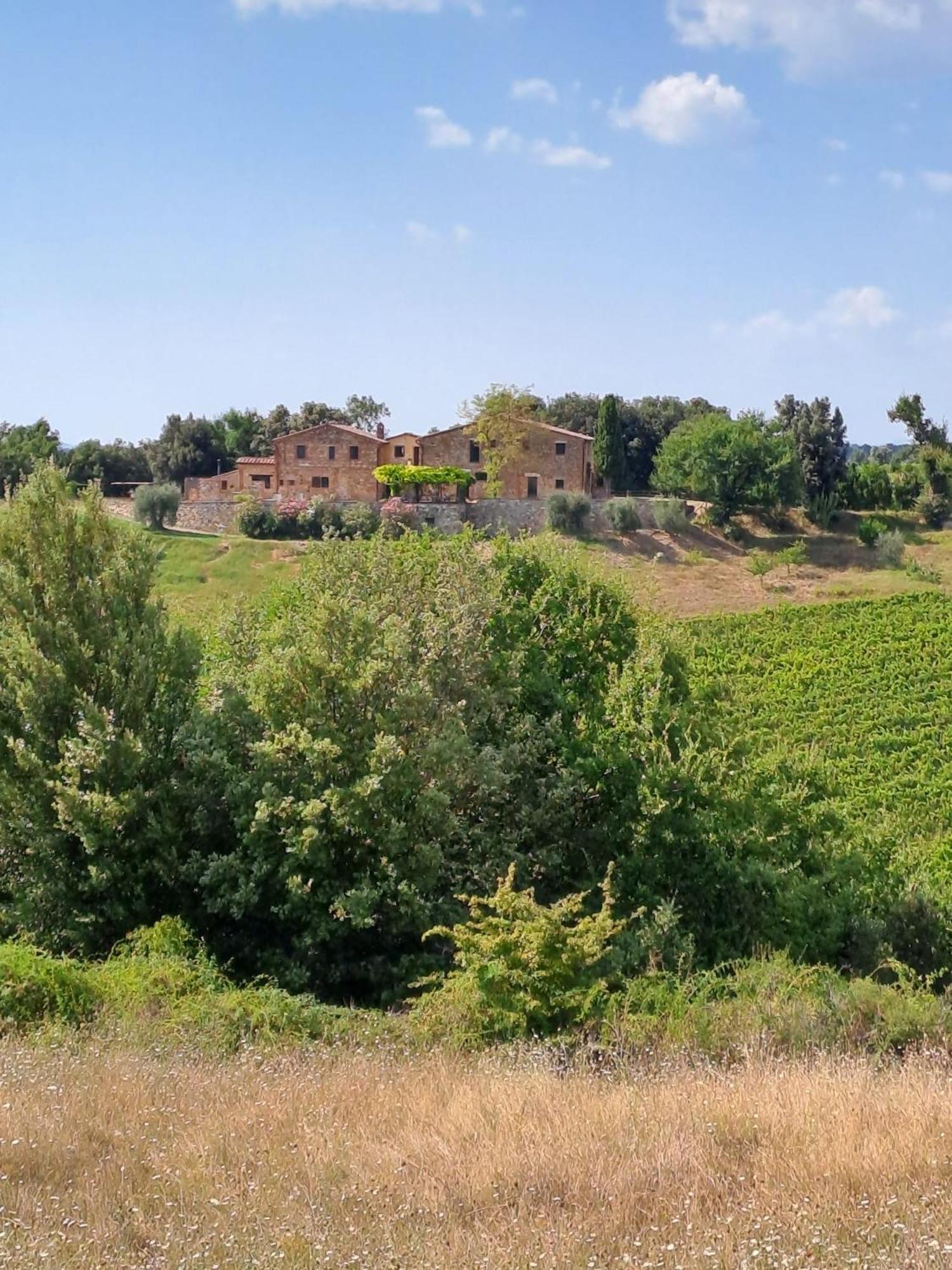 Podere Sole Trequanda Dış mekan fotoğraf